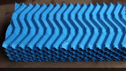 ��S��������